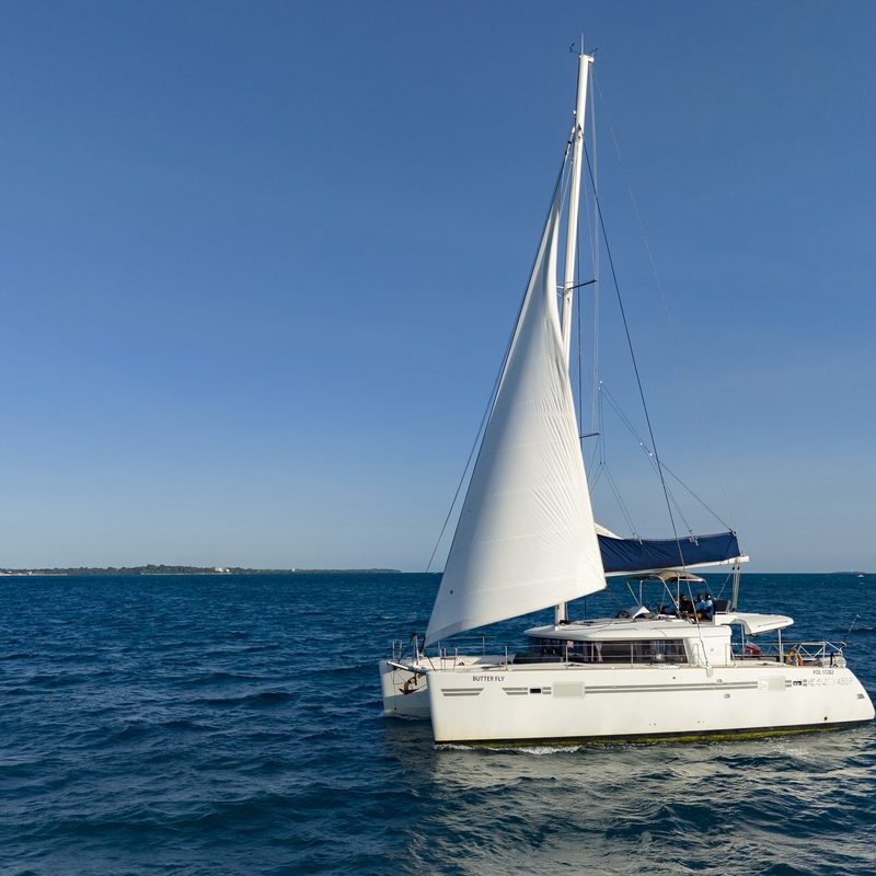 Lagoon 450F Butterfly flybridge catamaran under sail