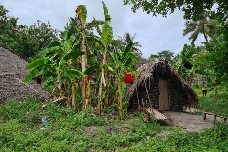 Thatched houses and banana plants in a local island village