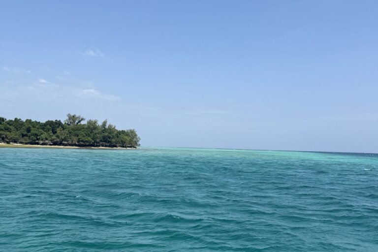 Turquoise shallow water and a green island on the Pemba cabin cruise route