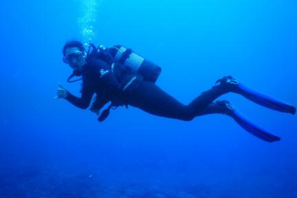 Diver over a coral reef