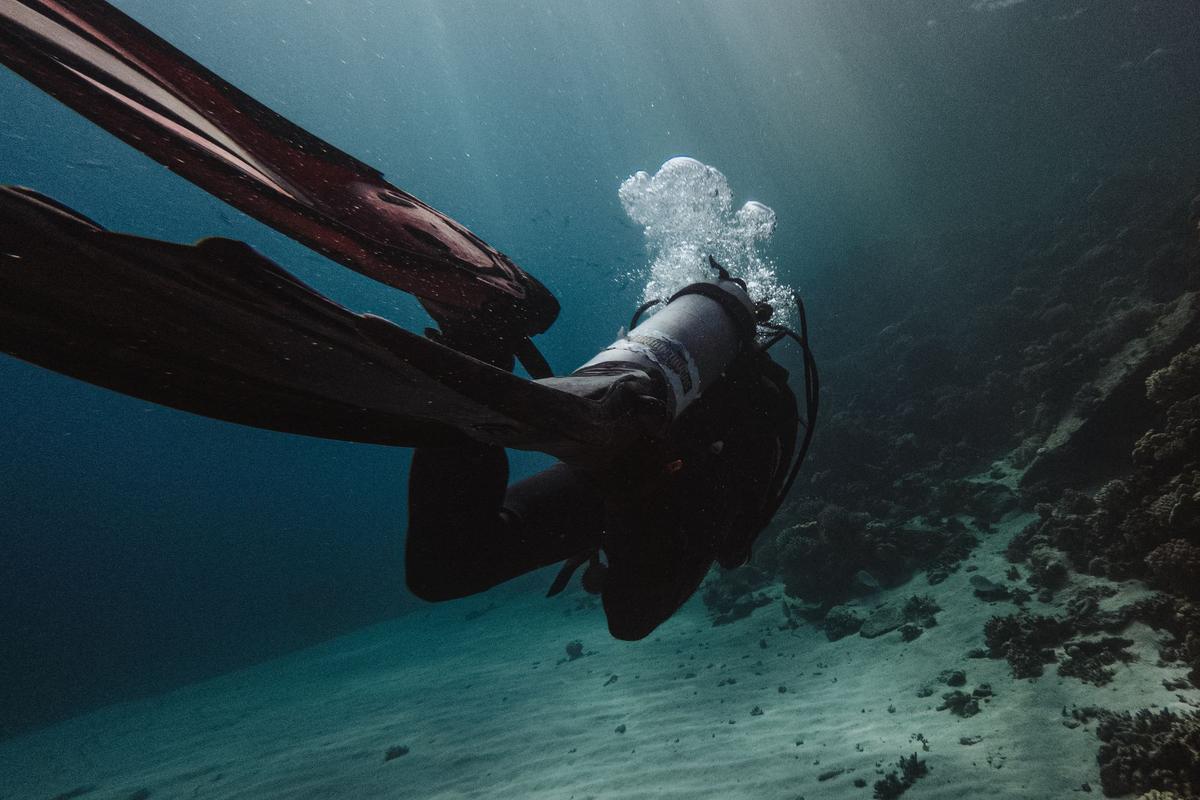 Scuba diver swimming down over the sea floor
