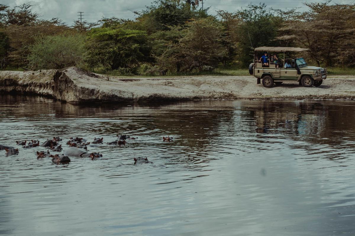 Safari jeep by a river with hippos in the water