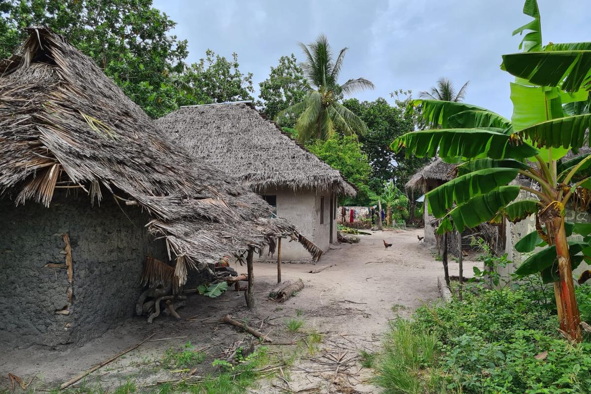 Traditional village houses among banana trees on Pemba