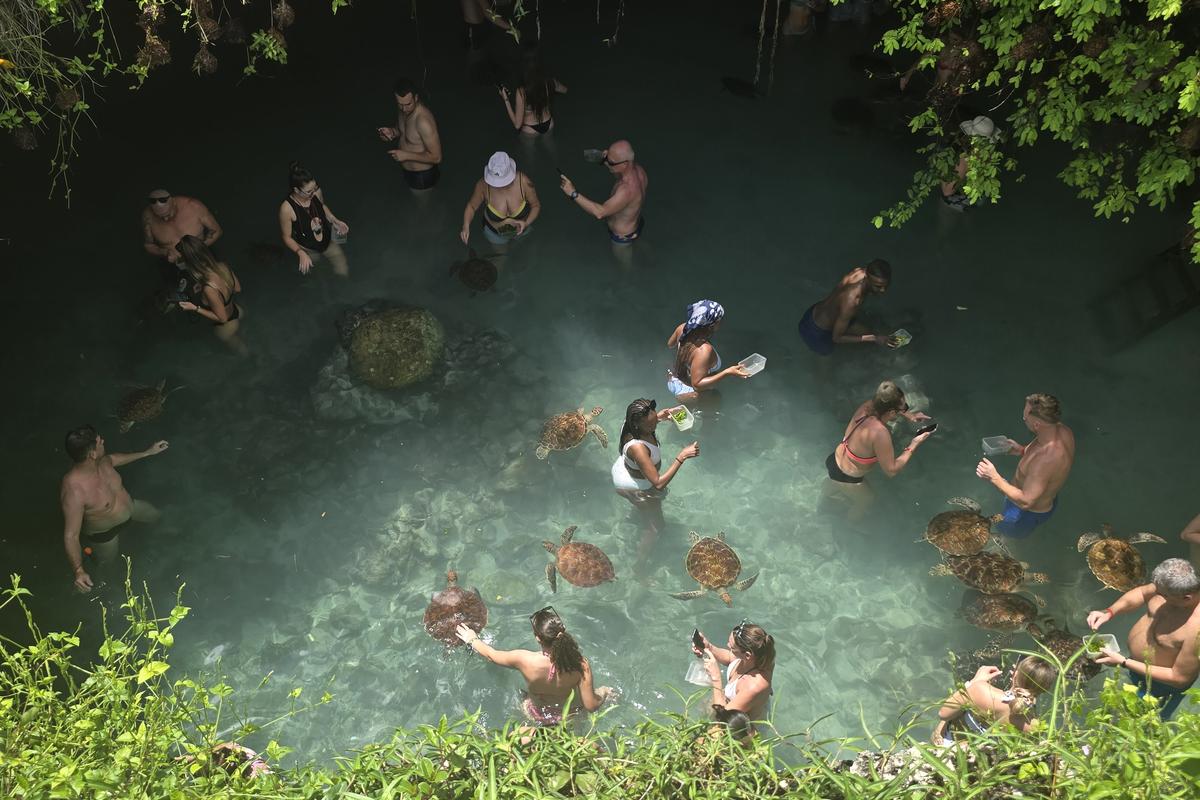 Guests swimming with sea turtles in a natural pool at a Zanzibar turtle sanctuary